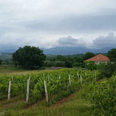 別荘 House Tunjarice