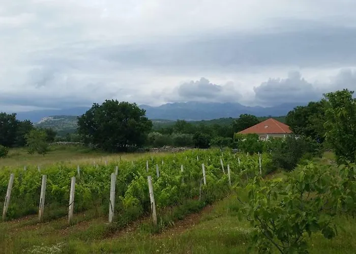 Дом отдыха House Tunjarice