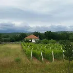 House Tunjarice *