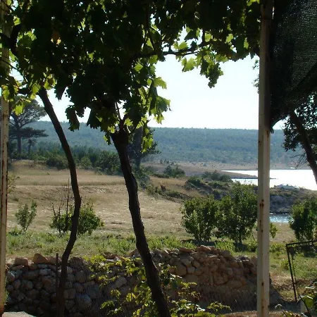 House Tunjarice